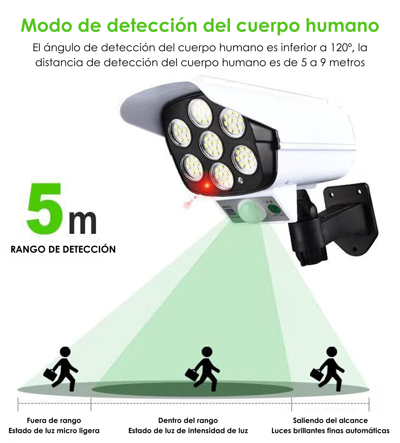 Luz Solar: Fake Cam